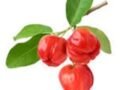 Acerola (400 gr)